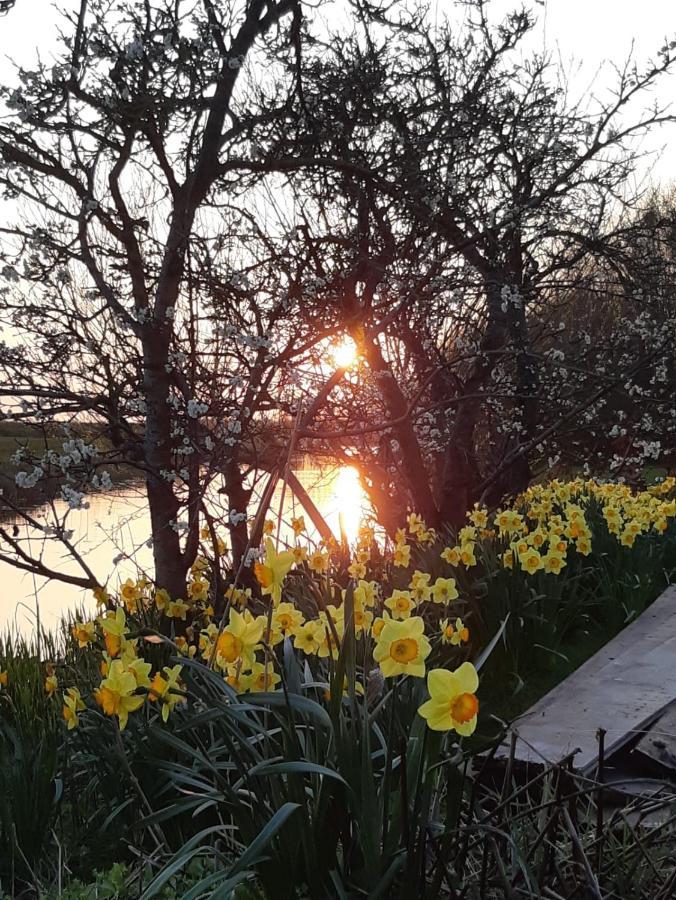 Iris'T; Dijkhuisje In De Polders Van Groede. Βίλα Εξωτερικό φωτογραφία