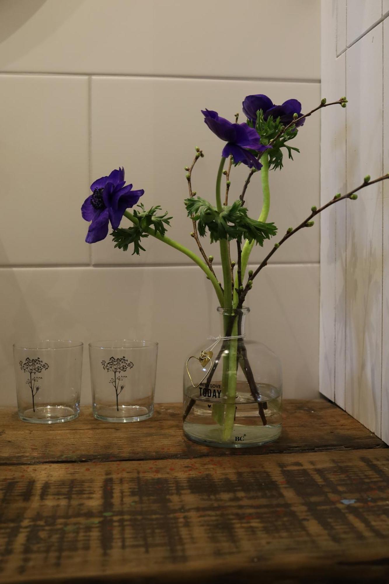 Iris'T; Dijkhuisje In De Polders Van Groede. Βίλα Εξωτερικό φωτογραφία